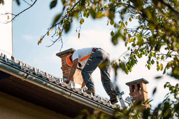 Best Commercial Roofing Services  in Johnston, SC