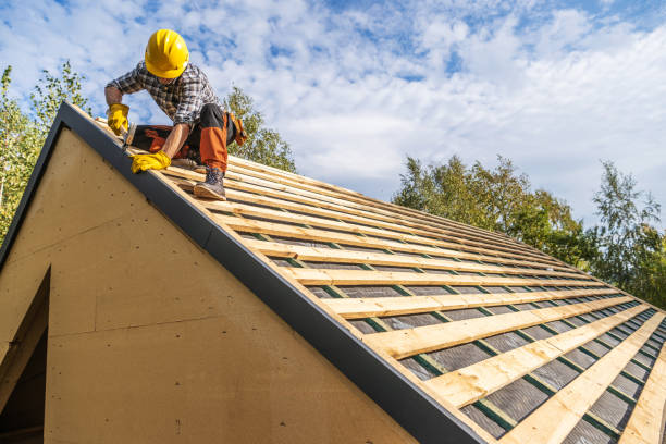 Best Roof Gutter Cleaning  in Johnston, SC