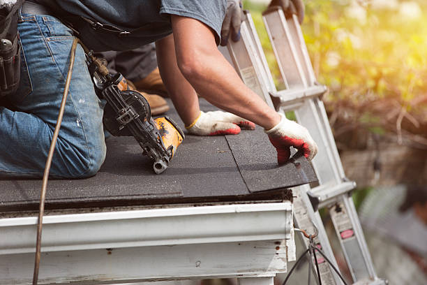 Best Metal Roofing Contractor  in Johnston, SC