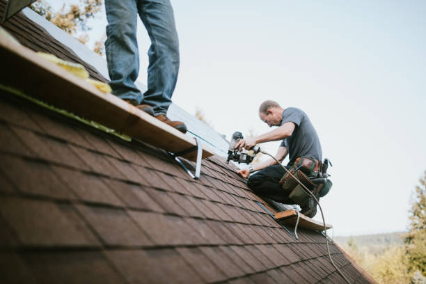 Best Roof Maintenance Services  in Johnston, SC